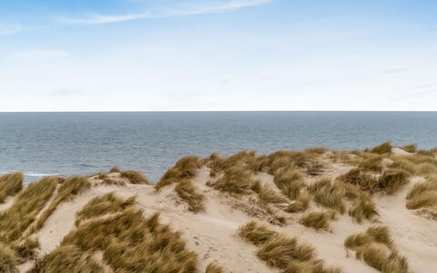 Radica - 50M from the Sea: Bleu, Environnement Naturel, Le Sable, Écorégion, Horizon, Plage, Côte, Mer, Rive