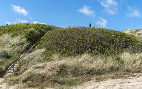 Abbie - 10M from the Sea: Herbe, Végétation, Arbuste, Communauté Des Plantes, Écorégion, Paysage, Prairie, Formations Arbustives, Pente