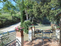 From the kitchen terrace.