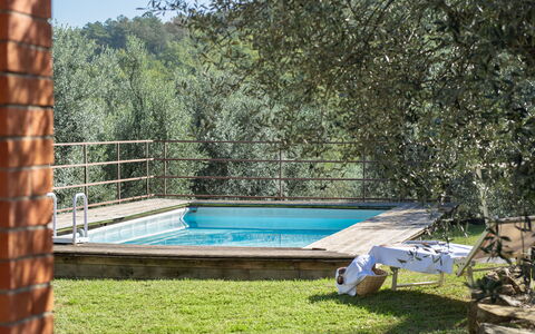 Residenza la Casuccia: L'Eau, Plante, Piscine, Ombre, Loisir, Herbe, Composite, Paysage, Bois, Rectangle