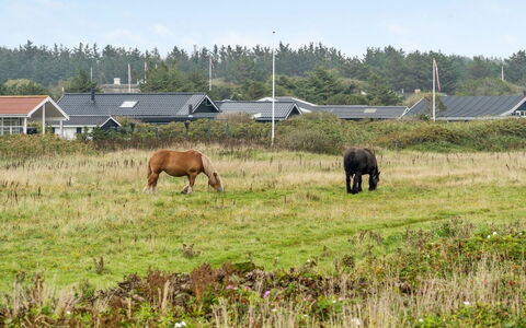 Helma - 200M from the Sea: Bois, Maison, Chalet, Domicile, Toit, Zone Rurale, Siding, Cabane En Rondins, Batiments Jardin, Dur