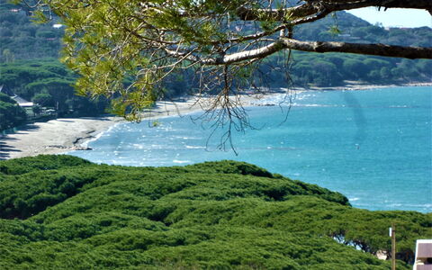 Villa Marzia Mare & Golf: L'Eau, Ressources En Eau, Plante, Paysage Naturel, Arbre, Branche, Végétation, Montagnes, Lac, Cotiers Et Relief Océaniques