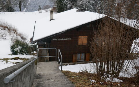Chalet Grindelwaldgletscher: Neige, Plante, Bâtiment, Fenêtre, Arbre, Bois, Pente, Maison, Chalet, Paysage