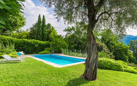 Villa Ulivo: Plante, L'Eau, Vert, Ciel, Arbre, Paysage Naturel, Piscine, Rectangle, Nuage, Ombre