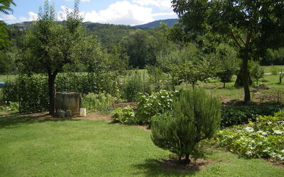 Greve in Chianti 615