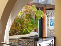 Marty & Gio Home - Cipressa