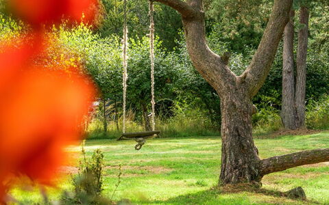 Ariela - 1.1Km from the Sea: À Déchaumer, Chalet, Maison, Toit, Domicile, Ferme, Cabane, Biens, Village