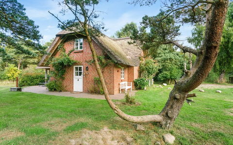 Ariela - 1.1Km from the Sea: À Déchaumer, Chalet, Maison, Toit, Domicile, Ferme, Cabane, Biens, Village