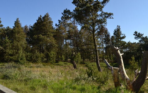 Harthwik - 1Km from the Sea: Maison, Domicile, Toit, Chalet, Lot Terre, Biens, Ferme, Village, Ferme