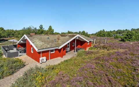 Asdis - 2.8Km from the Sea: Wildflower, Formations Arbustives, Chaparral