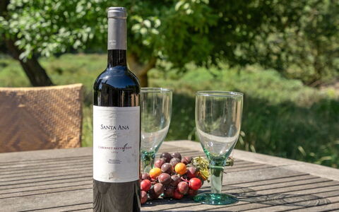 Mojag - 1Km from the Sea: Bouteille, Du Vin, Vin Rouge, Bouteille De Vin, Bouteille En Verre, Bar