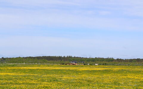 Auti - 2.3Km from the Sea: Herbe, Maison, Toit, Chalet, Domicile, Arbuste, Ferme, Lot Terre, Zone Rurale