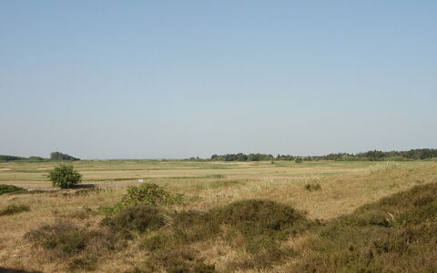 Aswith - 2.3Km from the Sea: Herbe, Maison, Toit, Chalet, Domicile, Arbuste, Ferme, Lot Terre, Zone Rurale