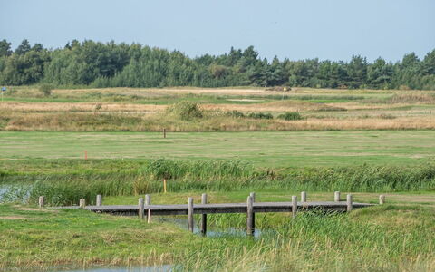 Helvig - 2.3Km from the Sea: Maison, Chalet, Toit, Batiments Jardin, Ombre, Cabanon, Arrière-Cour, Mobilier De Jardin, Cour, Pelouse
