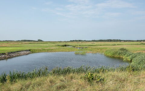 Helvig - 2.3Km from the Sea: L'Eau, Le Marais, Ressources En Eau, Environnement Naturel, Paysage Naturel, Prairie, Plaine, Écorégion