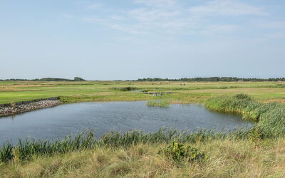 Helvig - 2.3Km from the Sea