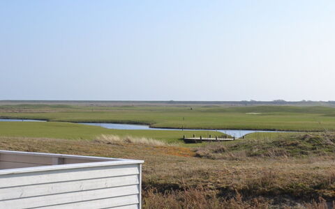 Jasna - 2.3Km from the Sea: Herbe, Bois, Zone Rurale, Arbuste, Chalet, Toit, Plaine, Lot Terre, Domicile, Couverture De Sol