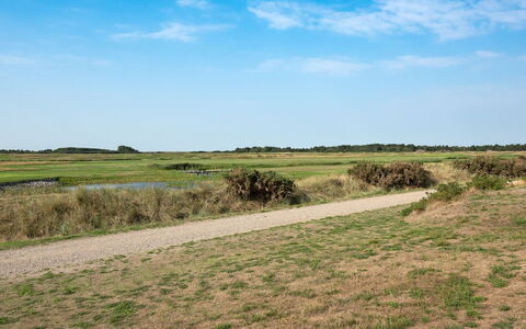 Jovanka - 2.3Km from the Sea: Ciel, Bleu, Vert, Herbe, Prairie, Environnement Naturel, Écorégion, Paysage Naturel, Végétation, Plaine