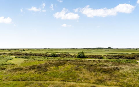 Anelia - 2.3Km from the Sea: Ciel, Bleu, Herbe, Environnement Naturel, Vert, Prairie, Écorégion, Végétation, Nuage, Paysage Naturel