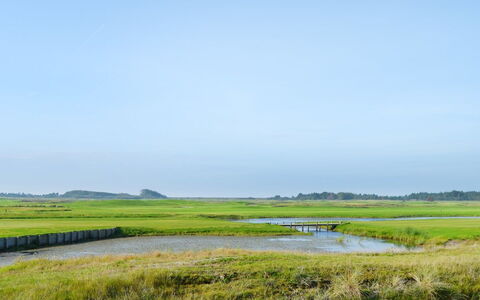 Nayana - 2.3Km from the Sea: Ciel, Vert, Environnement Naturel, Paysage Naturel, Prairie, Plaine, Le Marais, Écorégion, Horizon, Nuage