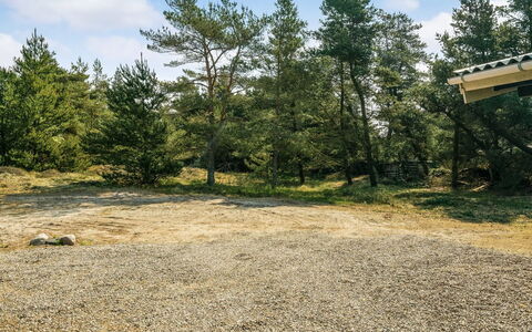 Herborg - 1Km from the Sea: Arbre, Végétation, Communauté Des Plantes, Sol, Forêt, Piste, Des Bois, Ombre
