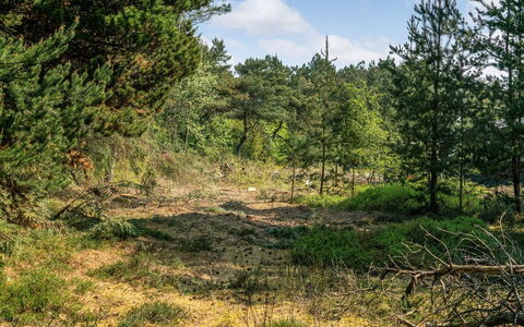 Herborg - 1Km from the Sea: Arbre, Environnement Naturel, Feuille, Végétation, Forêt, Région Sauvage, Communauté Des Plantes, Arbuste, Écorégion