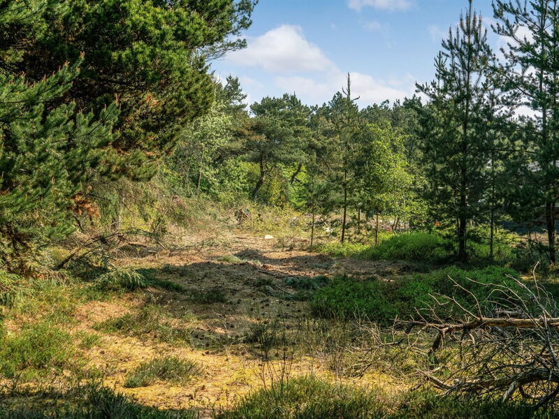 Herborg - 1Km from the Sea