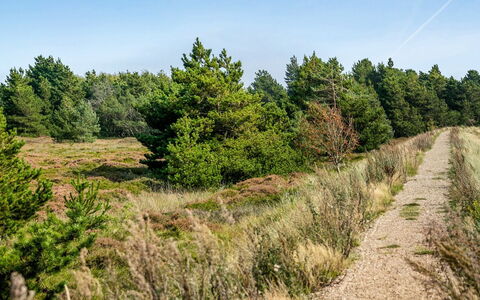 Gabriela - 1Km from the Sea: Ciel, Feuille, Végétation, Paysage Naturel, Arbuste, Écorégion, Région Sauvage, Communauté Des Plantes, Piste, Forêt