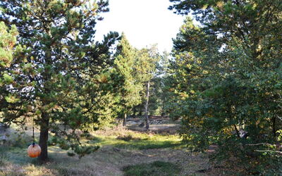 Christian - 3.5Km from the Sea