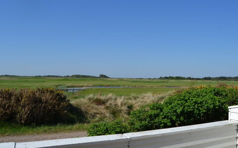 Drita - 2.3Km from the Sea: Ciel, Vert, Herbe, Prairie, Plaine, Écorégion, Lot Terre, Steppe, Prairie