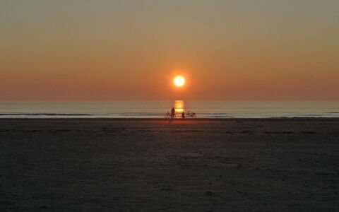 Freek - 400M from the Sea: Herbe, Maison, Toit, Domicile, Chalet, Arbuste, Lot Terre, Zone Rurale, Ferme, Couverture De Sol