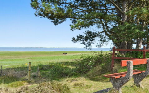 Sedine - 3.9Km from the Sea: Herbe, Vert, Paysage Naturel, Prairie, Été, Extérieur Banc, Meubles, Mer, Plaine, Lot Terre