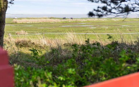 Sedine - 3.9Km from the Sea: Communauté Des Plantes, Lumière Du Soleil, Plante Herbacée, Jardin, Plantation, Agriculture, Ferme