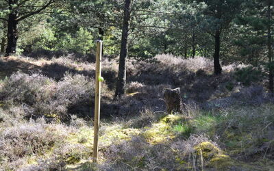 Angret - 3.5Km from the Sea