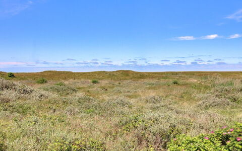 Zekine - 2.5Km from the Sea: Ciel, Bleu, Prairie, Herbe, Environnement Naturel, Écorégion, Végétation, Horizon, Paysage Naturel, Plaine