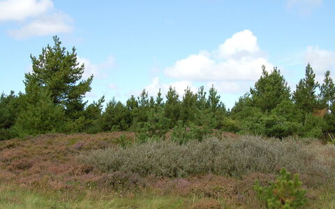 Falki - 2.5Km from the Sea: Bâtiment, Maison, Fenêtre, Domicile, Toit, Zone Résidentielle, Arbuste, Chalet, Lot Terre