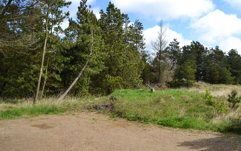Trana - 2Km from the Sea: Feuille, Arbre, Herbe, Environnement Naturel, La Nature, Végétation, Nuage, Arbuste, Écorégion, Communauté Des Plantes