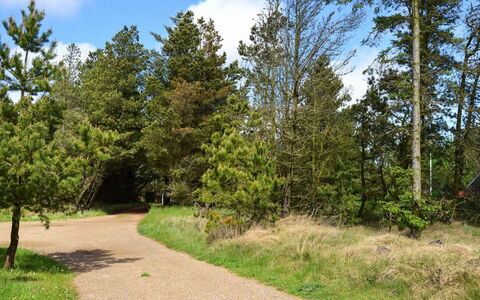Trana - 2Km from the Sea: Feuille, Arbre, Vert, La Nature, Branche, Végétation, Paysage Naturel, Arbuste, Piste, Communauté Des Plantes