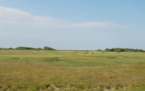 Arabella - 2.3Km from the Sea: Bois, Mer, Nuage, Cotiers Et Relief Océaniques, Plate-Forme, Océan, Planche, Boardwalk, Côte, Dur