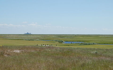 Arabella - 2.3Km from the Sea: Bois, Mer, Nuage, Cotiers Et Relief Océaniques, Plate-Forme, Océan, Planche, Boardwalk, Côte, Dur