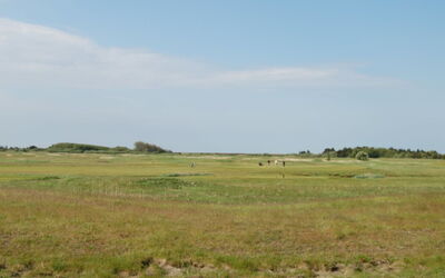 Arabella - 2.3Km from the Sea