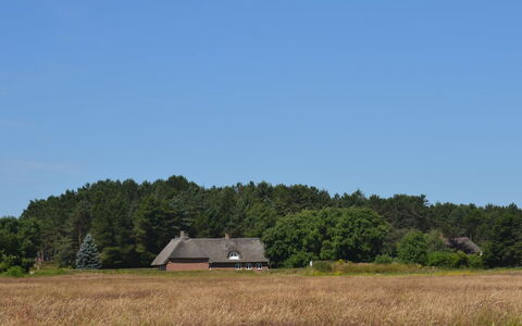 Naili - 3.1Km from the Sea: Herbe, Arbre, Prairie, Végétation, Maison, Toit, Chalet, Plaine, Zone Rurale