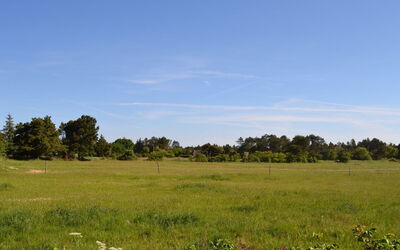 Naili - 3.1Km from the Sea