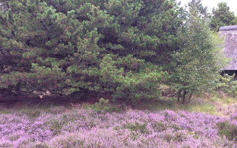 Emilla - 3.8Km from the Sea: Toit, Maison, Zone Résidentielle, Domicile, Biens, Chalet, Conception