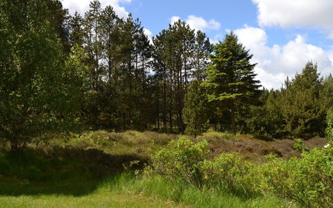 Emilla - 3.8Km from the Sea: Herbe, Maison, Toit, Domicile, Chalet, Arbuste, Lot Terre, Zone Rurale, Ferme, Couverture De Sol