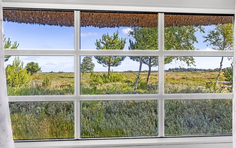 Artan - 2.6Km from the Sea: Herbe, Prairie, Paysage, Écorégion, Plaine, Communauté Des Plantes, Lot Terre, Mobilier De Jardin, Prairie, Formations Arbustives