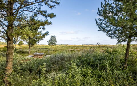 Artan - 2.6Km from the Sea: Herbe, Prairie, Paysage, Écorégion, Plaine, Communauté Des Plantes, Lot Terre, Mobilier De Jardin, Prairie, Formations Arbustives