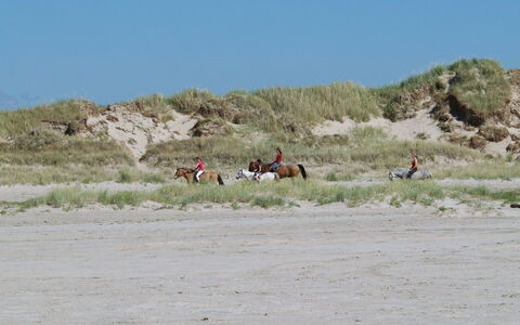 Fiona - 800M from the Sea: Chalet, Cabanon, Cabane, Ferme, Prairie, Cabane, Grange, Cabane En Rondins, Batiments Jardin