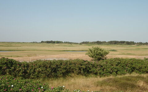 Ennike - 2.3Km from the Sea: Jour, Bâtiment, Zone Urbaine, Zone Métropolitaine, Ville, Appartement, Quartier, Métropole, Skyscraper