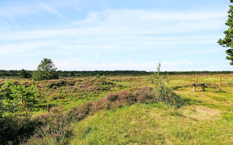 Alfwin - 3Km from the Sea: Ciel, Bleu, Herbe, Environnement Naturel, Prairie, Végétation, Paysage Naturel, Écorégion, Plaine, Été